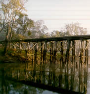 Mark Radford - “Old Railway Bridge”