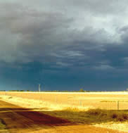 Mark Radford - “Storm Brewing”