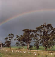 Jean Darnell - “Storm Rainbow”