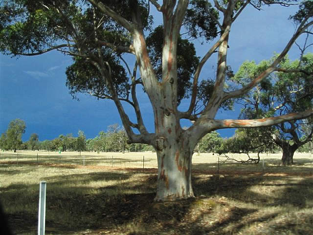  - “Storm Over Rup 2”