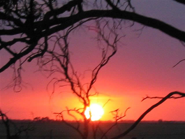 Fay Cuz - “Sunsets - 041”