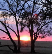 Fay Cuz - “Sunsets - 040”