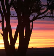 Hannah Cousins - “Sunset Feb 2006 - 008”