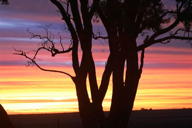 Hannah Cousins - “Sunset Feb 2006 - 008”