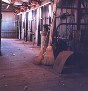 Sean Hallam - “Shearing Shed”