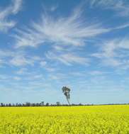 Murray Wilson - “Skies Natimuk”