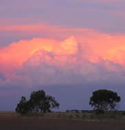 Rhonda Pilgrim - “Sunset Clouds”