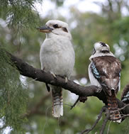 Michelle Hickman - “”