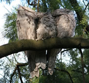 Michelle Hickman - “”